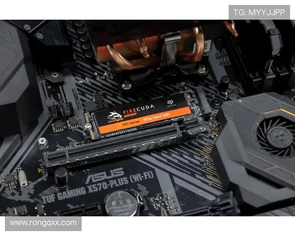 NIP与AL激战回顾分析 聚焦战术对决与关键时刻表现