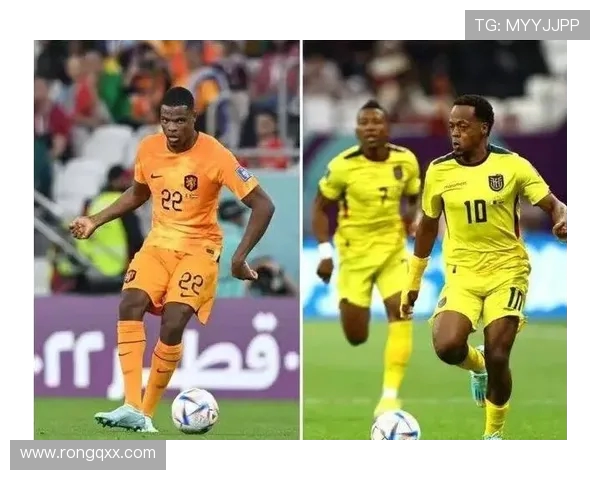 2018年世界杯精彩回顾日本与荷兰的激烈对决与战术分析